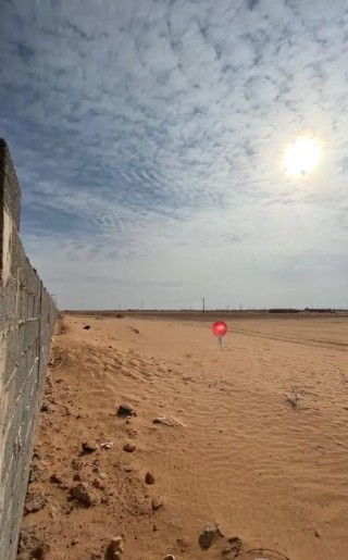 ارض زراعيه للبيع الجله