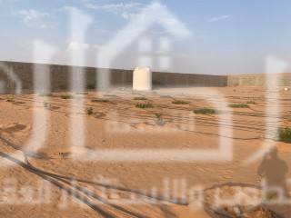 مزرعه للبيع مخطط الربيع الاول ب تبراك